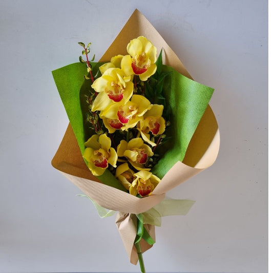 Cymbidium Orchids